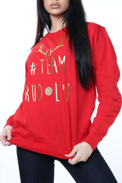 Foil Oversized Sweatshirt red colour