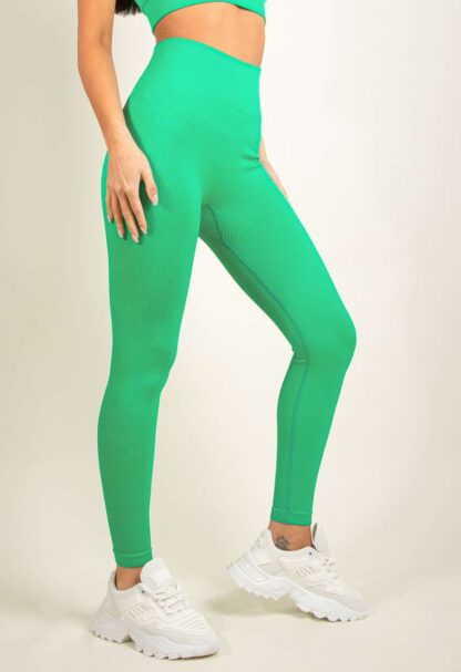 HIGH WAIST RIBBED GYM LEGGINGS - Image 15